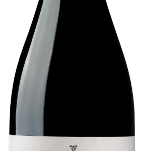 Igt Campania Aglianico 2016